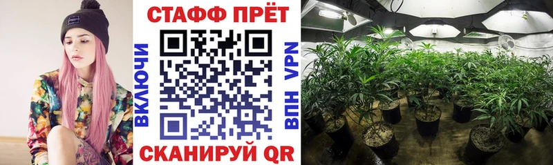 Купить наркотики цена Электросталь A-PVP МЕФ Cocaine