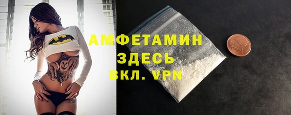 дмт Пересвет