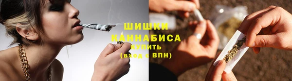 дмт Пересвет