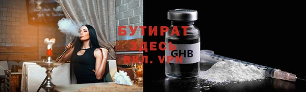 дмт Пересвет