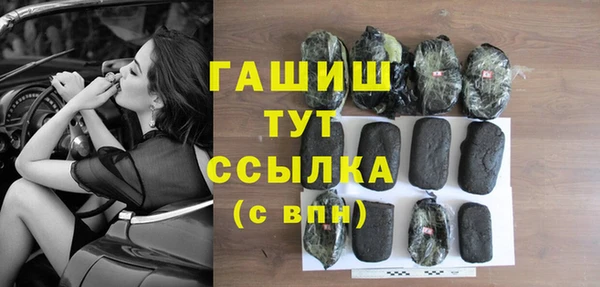 дмт Пересвет