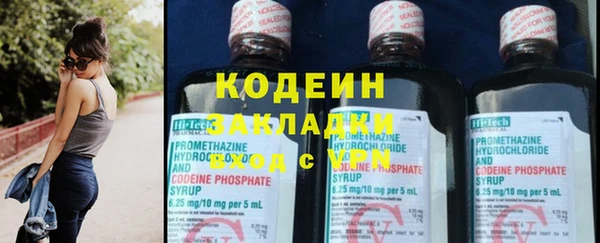 дмт Пересвет