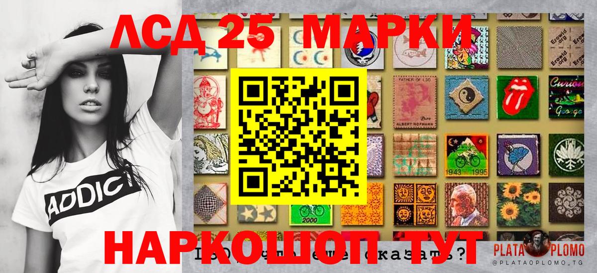 A PVP Электросталь