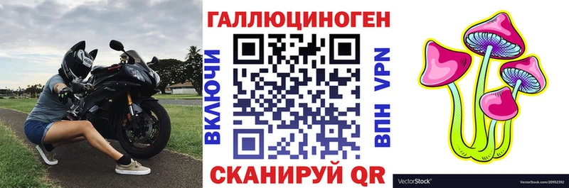 Галлюциногенные грибы Psilocybe Электросталь