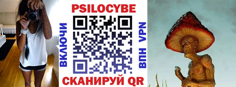 Псилоцибиновые грибы Psilocybine cubensis  Электросталь 