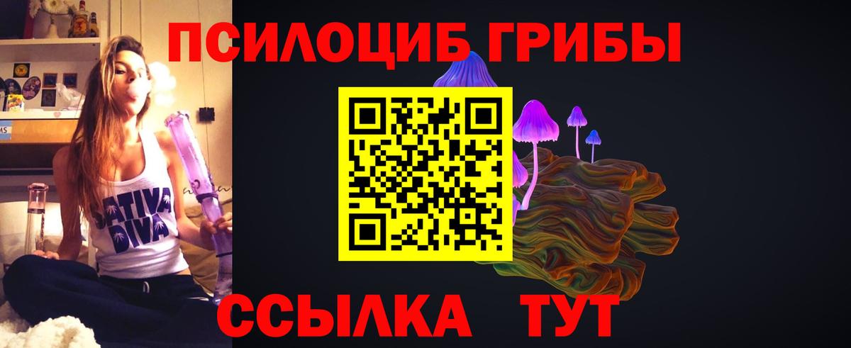 Псилоцибиновые грибы прущие грибы  Вход с VPN  Электросталь 